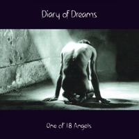 Diary of Dreams - Colorblind
