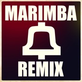 Twerk It Vine It Up (Marimba DJ Scratch Remix) artwork