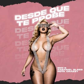 Desde Que Te Pobe (feat. Gabaniel bless, NotaCrazzy & Ben G) Tiger