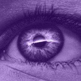 That Twinkle in Your Eyes Lilac