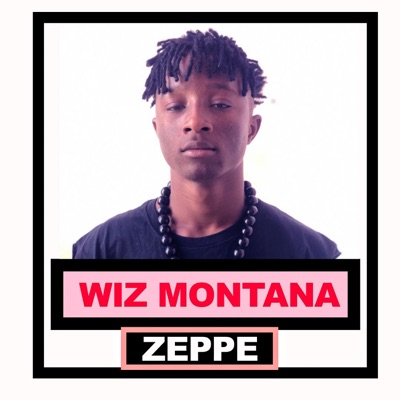 Zeppe 2025 2018 tata