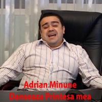 Dansează Prințesa Mea (feat. Marius Babanu) - Single - Adrian Minune