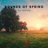 Sounds of Spring For Resting artwork