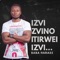 Mucherechedzo (feat. Ti Gonzi) - Baba Harare lyrics