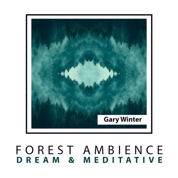 Forest Ambience: Dream & Meditative