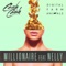 Millionaire (feat. Nelly) - Digital Farm Animals & Cash Cash lyrics