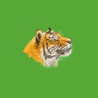 Indigenous Peoples (feat. Edo.G) - Single - Yung $lobo & Takstar