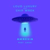 Amnesia (feat. GASHI) - Single, 2021