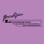 Levitating (feat. Sukriti Kakar & Prakriti Kakar) [Amaal Mallik Remix] artwork