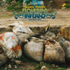 Dog With a Rope (Quantic Presenta Flowering Inferno) - Flowering Inferno & Quantic