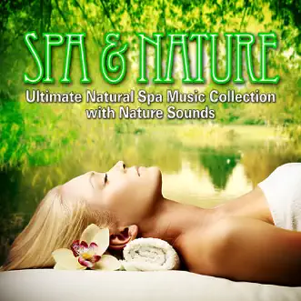 Peaceful Dreams With Distant Loon Calls for Well Being and Emotional Healing by Best Relaxing SPA Music song reviws