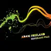 Adam Freeland - Track 05 (Anil Chawla & Dale Anderson Remix)
