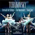 Serenade for Strings, Op. 48: III. Elegia