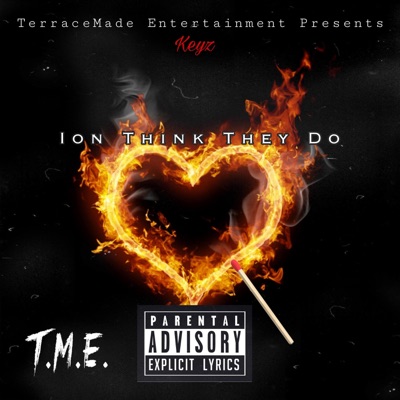 Ion Think They Do - Single