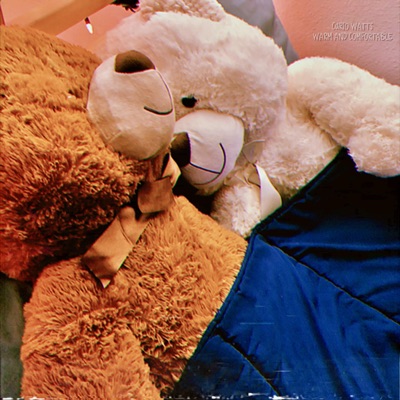 Warm and Comfortable - Single