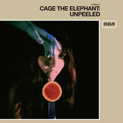 Cage the Elephant // Trouble (Lyrics/Sub español) 
