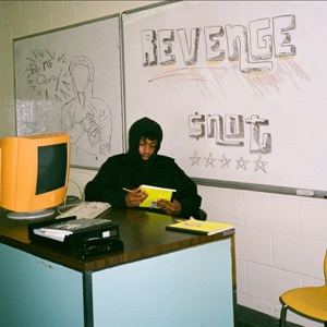 Revenge - Single