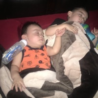 Everything I Got - Single - Animal Dcccvi