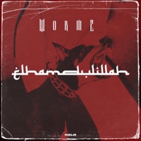Elhamdülillah - Single - Wormz