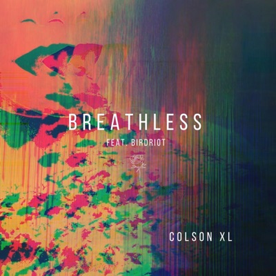 Breathless (feat. Birdriot) - Single