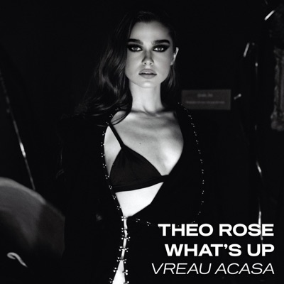Song - Vreau Acasa - Theo Rose & What's Up