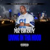 Living in tha Hood - Single