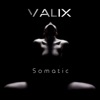 Somatic - Single