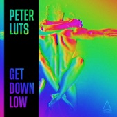 Get Down Low (Extended Mix) artwork