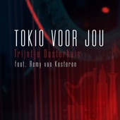 Tokio Voor Jou (Ali B op Volle Toeren) [feat. Remy van Kesteren] artwork