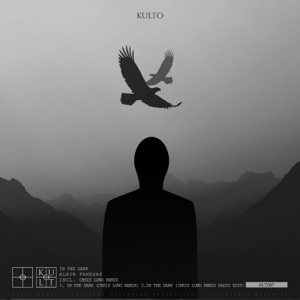 In the Dark (Chris Luno Remix Radio Edit) - Single