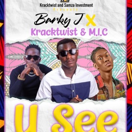 U SEE (feat. Kracktwist & M.I.C.) Barky j
