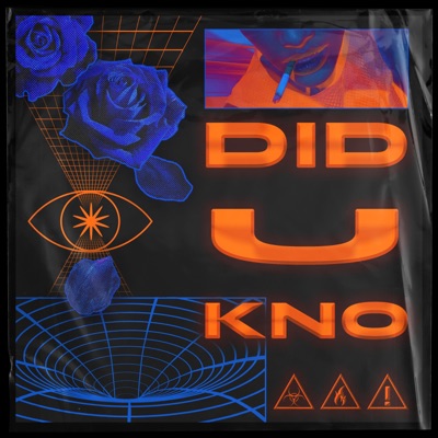 did U Kno?? - Single