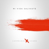 Mi Vida Salvaste artwork