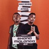 Bambelela (feat. DJ Maphorisa & Kabza De Small)