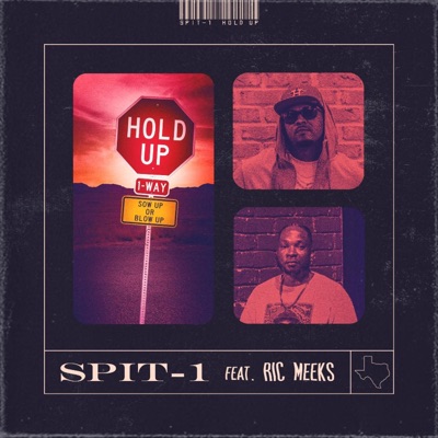 Hold Up (feat. Ric Meeks) - Single