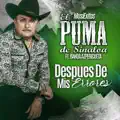 DESPUES DE MIS ERRORES