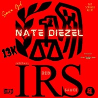 13k IRS - Nate Diezel