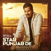 Star Punjab De artwork