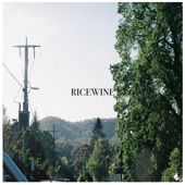 RICEWINE - Talking to You