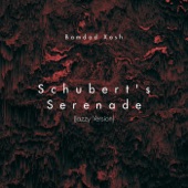 Schubert's Serenade (Jazzy Version) artwork