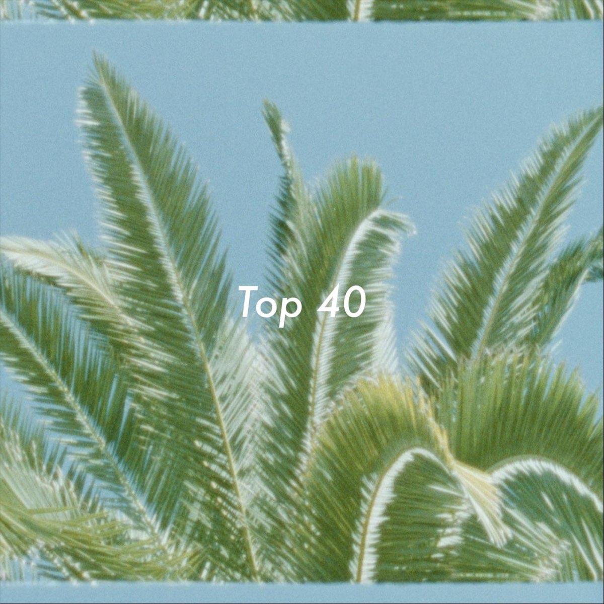 top-40-single-by-carl-schilde-on-apple-music