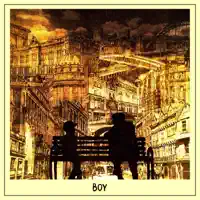 Boy — THE VICES