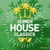 12 Inch House Classics, Vol. 2