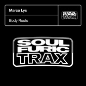 Body Roots (Extended Mix) artwork