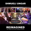 Reimagined (feat. Yedidim Choir & Aaron Teitelbaum Orchestra) - Single