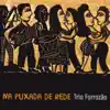Trio Forrozão - Na Puxada da Rede