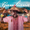 ST da Gambian Dream - Gambiana artwork