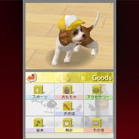 Nintendawg - Single - pain brigade, stupidbrain & inshin