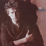 Don Henley - All She Wants to Do Is Dance