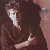 Don Henley - Drivin' With Your Eyes Closed